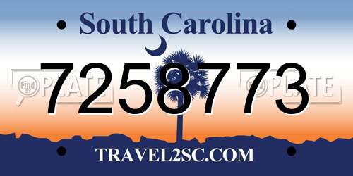 7258773 South Carolina License Plate