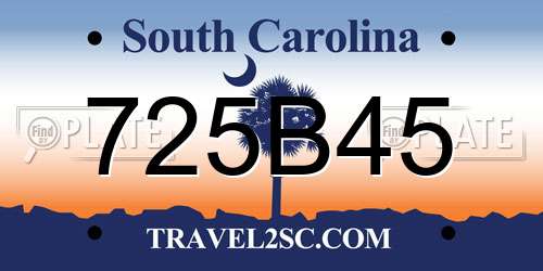 725B45 South Carolina License Plate