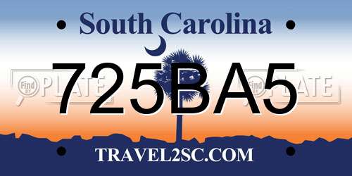725BA5 South Carolina License Plate