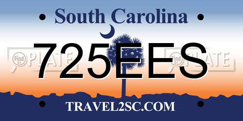 725EES South Carolina License Plate