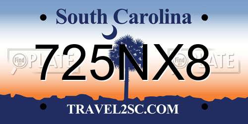 725NX8 South Carolina License Plate