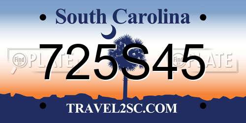 725S45 South Carolina License Plate