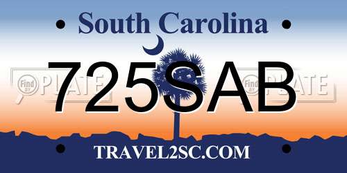 725SAB South Carolina License Plate
