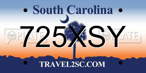 725XSY South Carolina License Plate