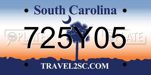 725Y05 South Carolina License Plate