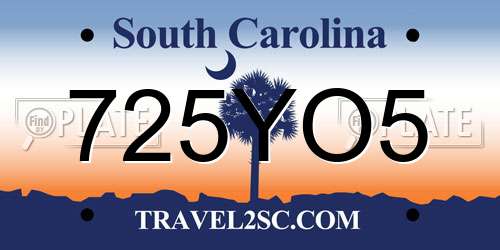 725YO5 South Carolina License Plate