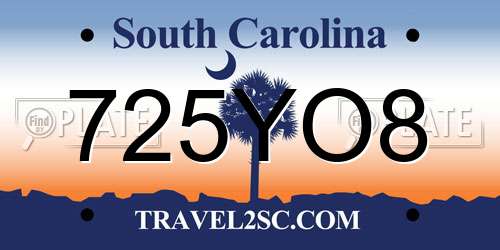 725YO8 South Carolina License Plate