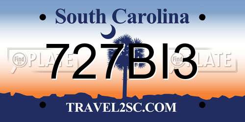 727BI3 South Carolina License Plate