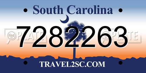 7282263 South Carolina License Plate