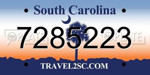7285223 South Carolina License Plate