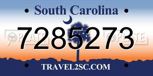 7285273 South Carolina License Plate
