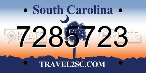 7285723 South Carolina License Plate