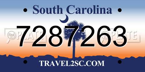 7287263 South Carolina License Plate