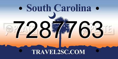 7287763 South Carolina License Plate