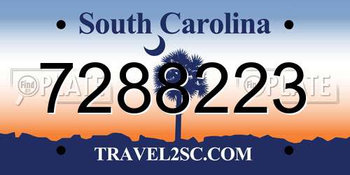 7288223 South Carolina License Plate