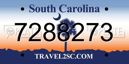 7288273 South Carolina License Plate