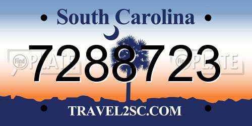 7288723 South Carolina License Plate