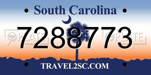 7288773 South Carolina License Plate