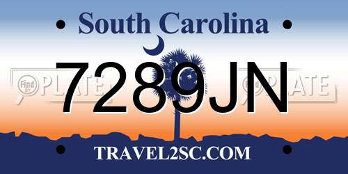 7289JN South Carolina License Plate