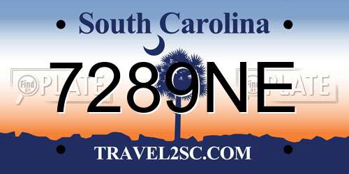 7289NE South Carolina License Plate