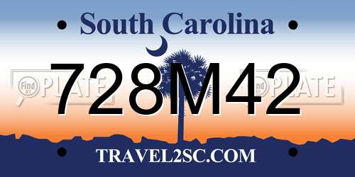 728M42 South Carolina License Plate