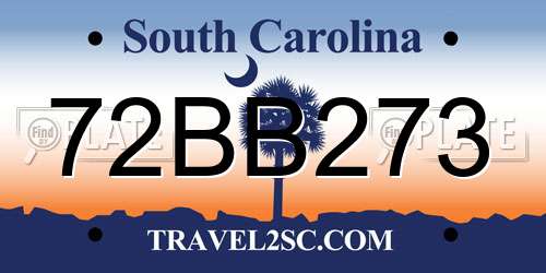 72BB273 South Carolina License Plate