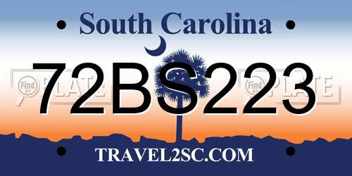 72BS223 South Carolina License Plate