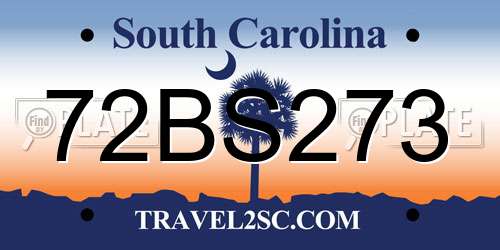 72BS273 South Carolina License Plate