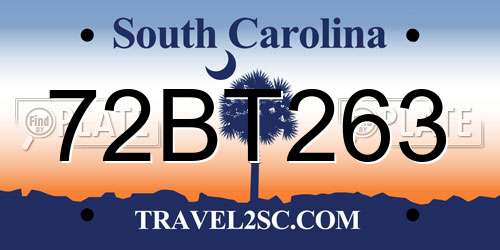 72BT263 South Carolina License Plate
