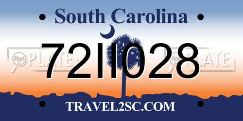 72II028 South Carolina License Plate