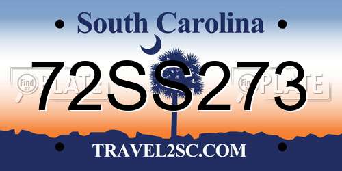 72SS273 South Carolina License Plate