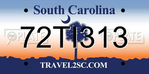 72TI313 South Carolina License Plate