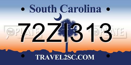 72ZI313 South Carolina License Plate