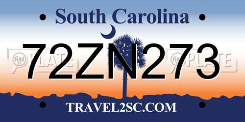 72ZN273 South Carolina License Plate