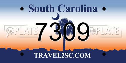 7309 South Carolina License Plate