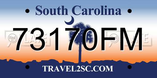 73170FM South Carolina License Plate