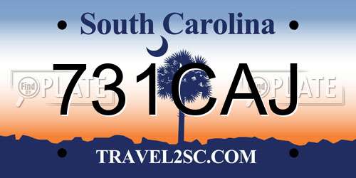 731CAJ South Carolina License Plate
