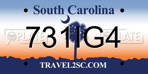 731IG4 South Carolina License Plate
