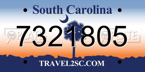 7321805 South Carolina License Plate