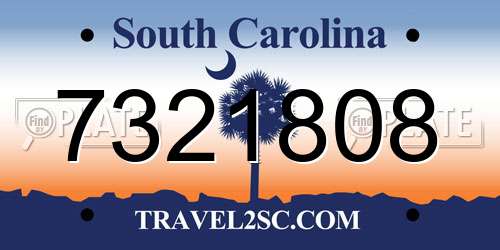 7321808 South Carolina License Plate