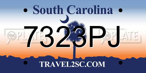 7323PJ South Carolina License Plate