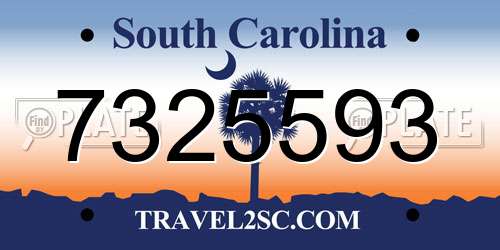 7325593 South Carolina License Plate