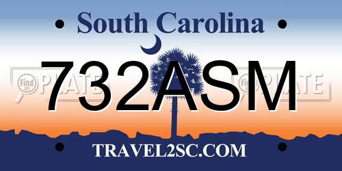 732ASM South Carolina License Plate