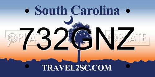 732GNZ South Carolina License Plate
