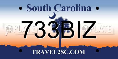 733BIZ South Carolina License Plate