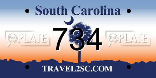 734 South Carolina License Plate