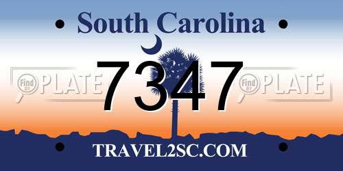 7347 South Carolina License Plate