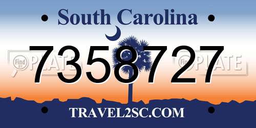 7358727 South Carolina License Plate