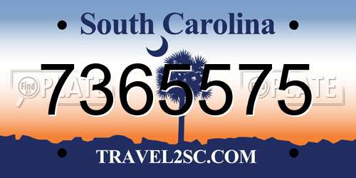 7365575 South Carolina License Plate