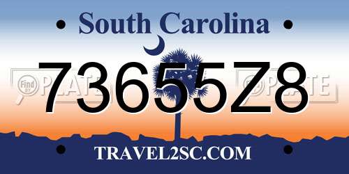 73655Z8 South Carolina License Plate